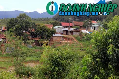 Ảnh về Doanh nghiệp tại Xã Yaly- Huyện Sa Thầy- Kon Tum