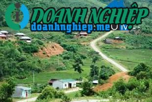 Image of List companies in Te Xang Commune- Tu Mo Rong District- Kon Tum