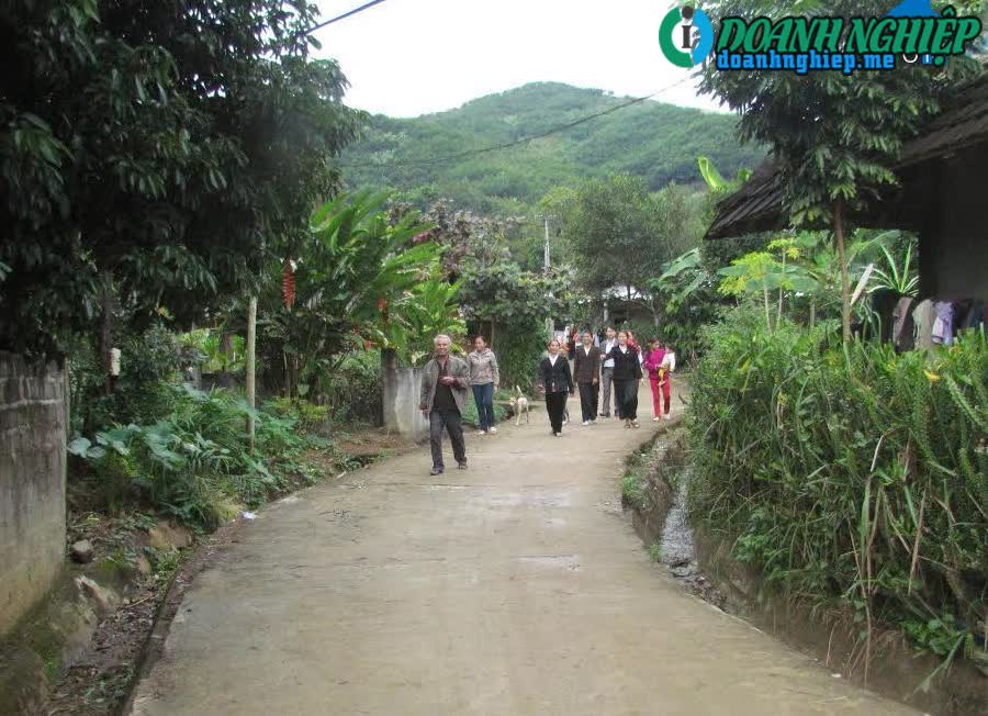 Image of List companies in Khong Lao Commune- Phong Tho District- Lai Chau