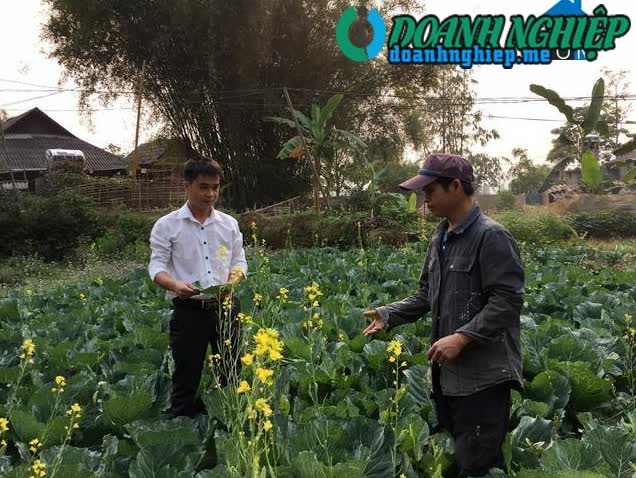 Image of List companies in Hua Na Commune- Than Uyen District- Lai Chau