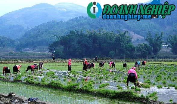 Image of List companies in Binh Lu Commune- Tam Duong District- Lai Chau