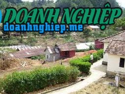 Ảnh về Doanh nghiệp tại Xã Bảo Thuận- Huyện Di Linh- Lâm Đồng