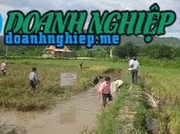 Image of List companies in Chau Binh Commune- Quy Chau District- Nghe An