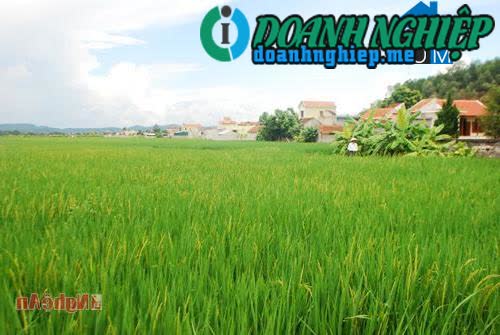 Image of List companies in Quynh Dien Commune- Quynh Luu District- Nghe An