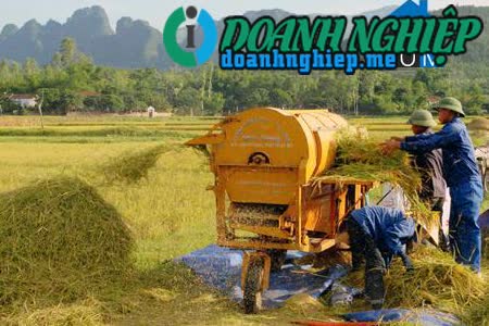 Image of List companies in Quynh Lam Commune- Quynh Luu District- Nghe An