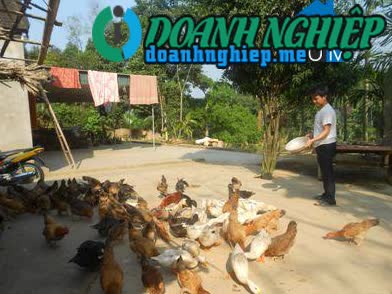 Image of List companies in Phong Thinh Commune- Thanh Chuong District- Nghe An