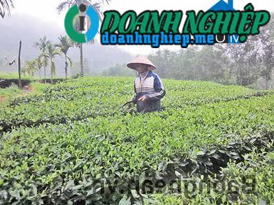 Image of List companies in Thanh Duc Commune- Thanh Chuong District- Nghe An