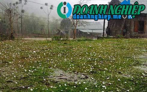 Image of List companies in Mai Son Commune- Tuong Duong District- Nghe An