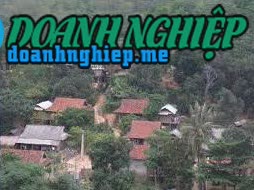 Image of List companies in Xieng My Commune- Tuong Duong District- Nghe An