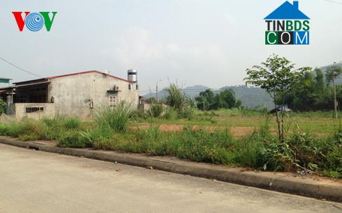 Image of List companies in Son Hai Commune- Bao Thang District- Lao Cai