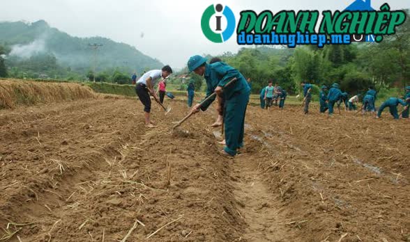 Image of List companies in Xuan Thuong Commune- Bao Yen District- Lao Cai