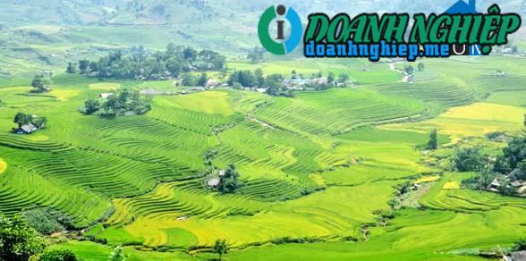 Image of List companies in Sang Ma Sao Commune- Bat Xat District- Lao Cai