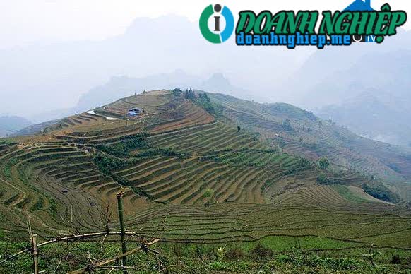 Image of List companies in Ta Ngai Cho Commune- Muong Khuong District- Lao Cai