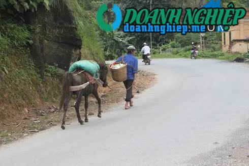 Ảnh về Doanh nghiệp tại Xã Thanh Bình- Huyện Mường Khương- Lào Cai