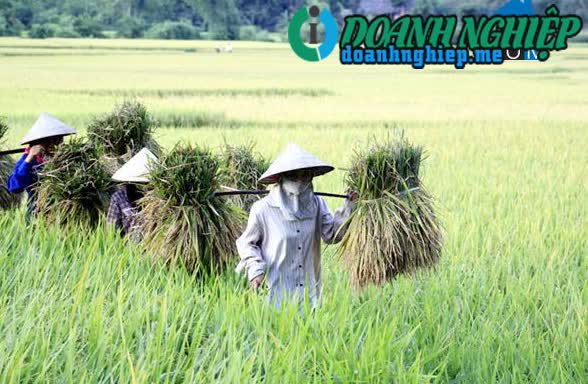 Image of List companies in Khanh Yen Trung Commune- Van Ban District- Lao Cai