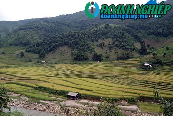 Image of List companies in Minh Luong Commune- Van Ban District- Lao Cai