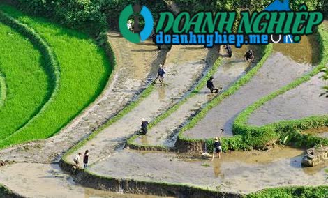 Image of List companies in Dan Thang Commune- Van Ban District- Lao Cai