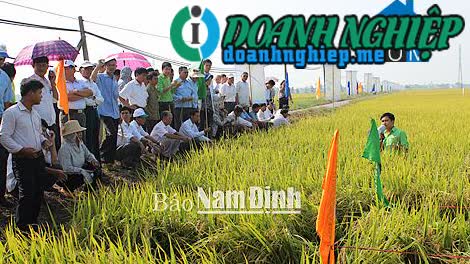 Image of List companies in Giao Tan Commune- Giao Thuy District- Nam Dinh