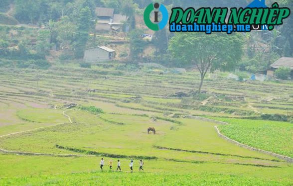 Image of List companies in Nan San Commune- Xi Ma Cai District- Lao Cai