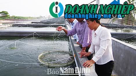 Image of List companies in Hai Dong Commune- Hai Hau District- Nam Dinh