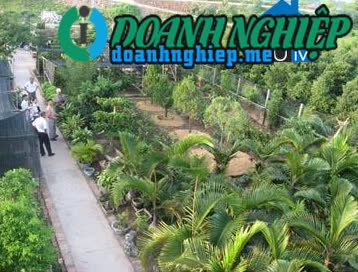 Image of List companies in Dien Xa Commune- Nam Truc District- Nam Dinh