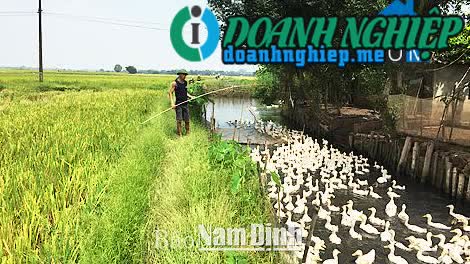 Image of List companies in Nam Toan Commune- Nam Truc District- Nam Dinh