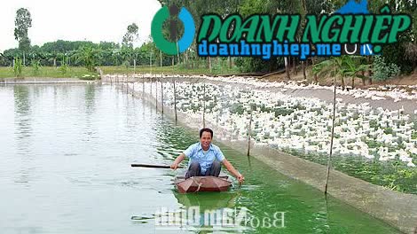 Ảnh về Doanh nghiệp tại Xã Minh Tân- Huyện Vụ Bản- Nam Định