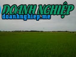 Ảnh về Doanh nghiệp tại Xã Trực Thanh- Huyện Trực Ninh- Nam Định