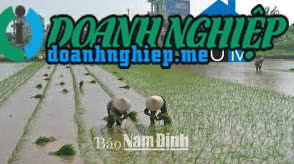 Ảnh về Doanh nghiệp tại Xã Việt Hùng- Huyện Trực Ninh- Nam Định