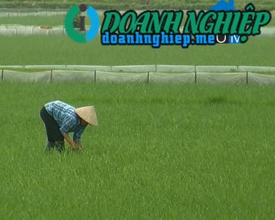 Ảnh về Doanh nghiệp tại Xã Hiển Khánh- Huyện Vụ Bản- Nam Định