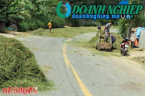 Ảnh về Doanh nghiệp tại Xã Lạng Sơn- Huyện Anh Sơn- Nghệ An