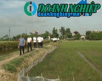 Image of List companies in Yen Minh Commune- Y Yen District- Nam Dinh