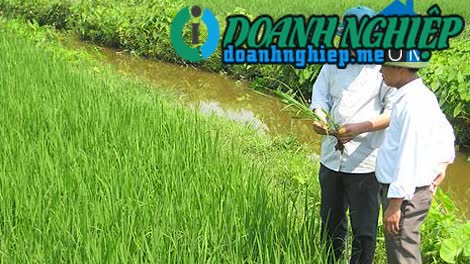 Image of List companies in Yen Quang Commune- Y Yen District- Nam Dinh