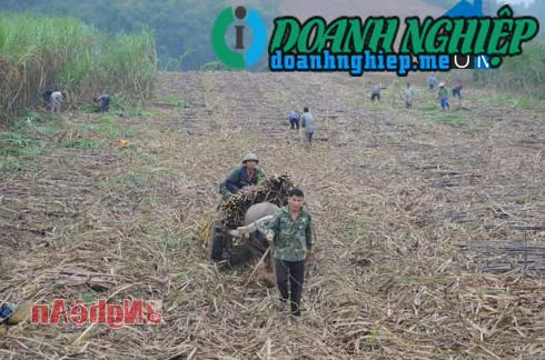 Image of List companies in Thanh Son Commune- Anh Son District- Nghe An