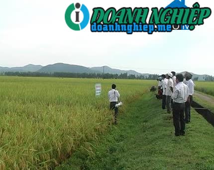 Image of List companies in Dien Tan Commune- Dien Chau District- Nghe An