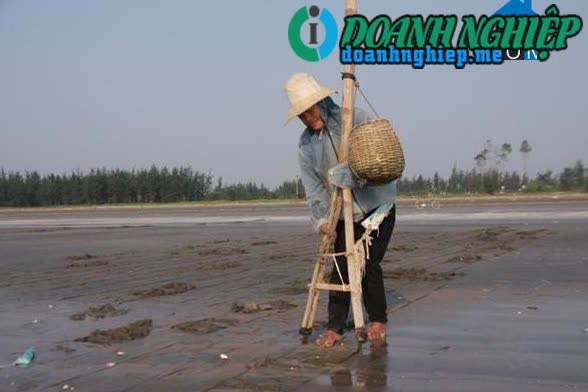 Image of List companies in Dien Hai Commune- Dien Chau District- Nghe An