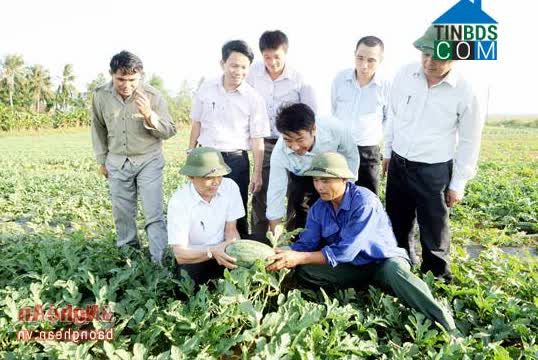 Image of List companies in Dien Phong Commune- Dien Chau District- Nghe An