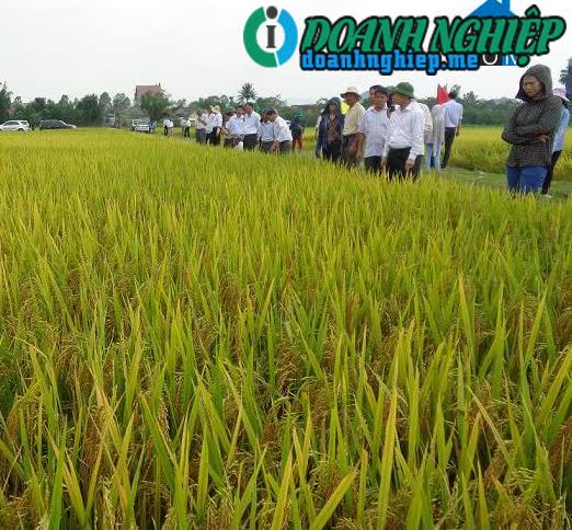 Image of List companies in Hung Tien Commune- Hung Nguyen District- Nghe An