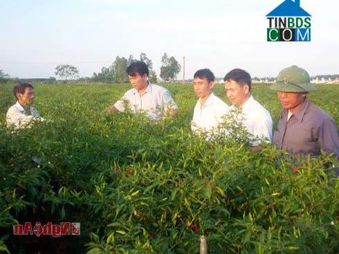 Image of List companies in Hung Tien Commune- Nam Dan District- Nghe An