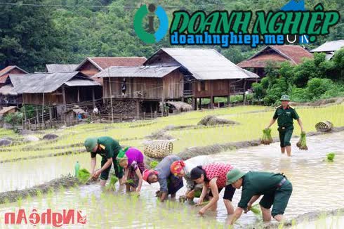 Image of List companies in Muong Ai Commune- Ky Son District- Nghe An