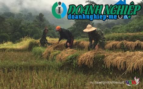 Ảnh về Doanh nghiệp tại Xã Na Loi- Huyện Kỳ Sơn- Nghệ An