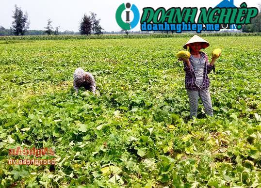 Image of List companies in Nghi Thach Commune- Nghi Loc District- Nghe An
