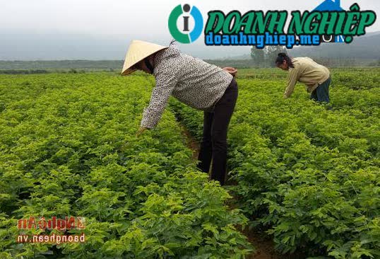 Image of List companies in Nam Nghia Commune- Nam Dan District- Nghe An