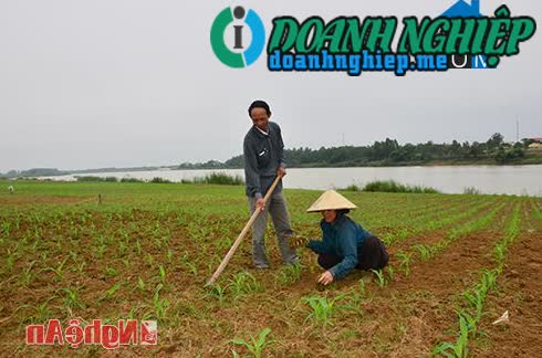 Image of List companies in Nam Tan Commune- Nam Dan District- Nghe An