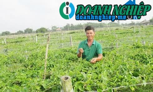Image of List companies in Nam Xuan Commune- Nam Dan District- Nghe An
