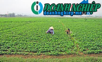 Image of List companies in Nghi Dong Commune- Nghi Loc District- Nghe An