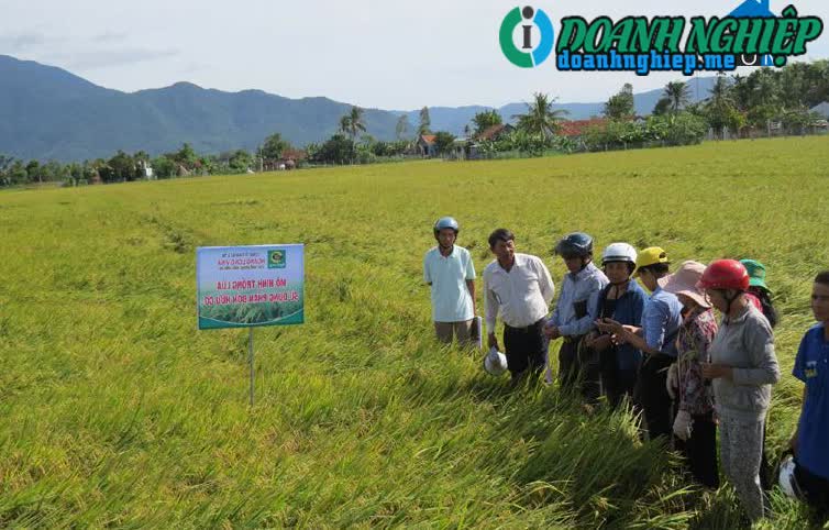 Image of List companies in Hoa My Tay Commune- Tay Hoa District- Phu Yen