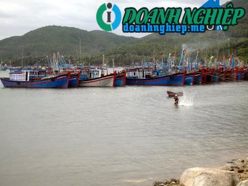 Image of List companies in Xuan Phuong Commune- Song Cau Town- Phu Yen