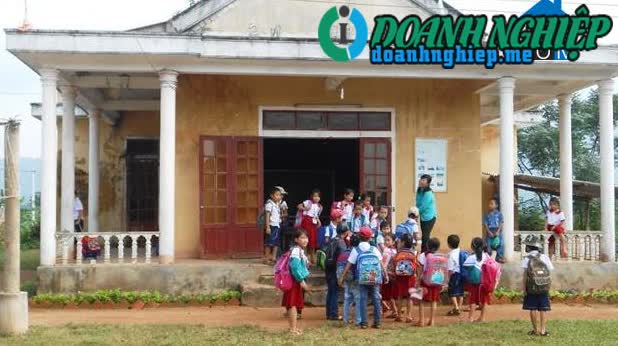 Image of List companies in Phu Dinh Commune- Bo Trach District- Quang Binh