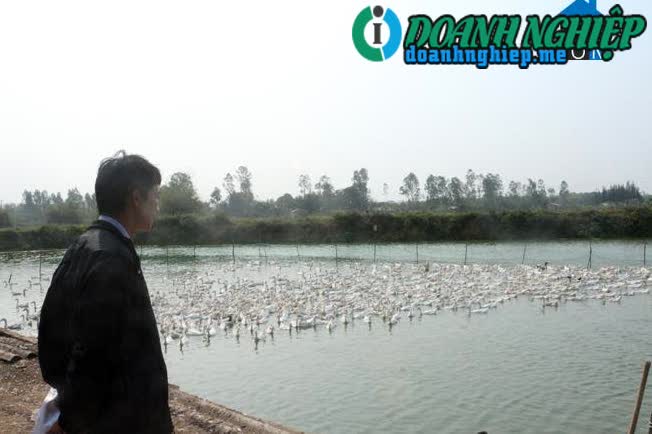 Ảnh về Doanh nghiệp tại Xã Sơn Lộc- Huyện Bố Trạch- Quảng Bình